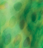 Electrica blouse in 4leaf clover in 4leaf clover
